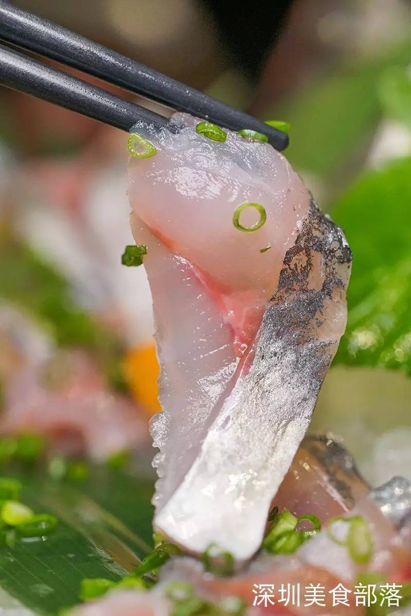 深圳大鲨鱼再遭失利，奋起反击