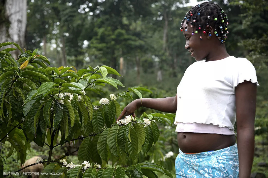 圣多美和普林西比射箭选手崭露头角的简单介绍 圣多美和普林西比射箭选手崭露头角的简单介绍